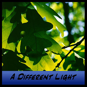 A Different Light CD - Released December 2007.  Click here for samples, more information, and to place an order.
