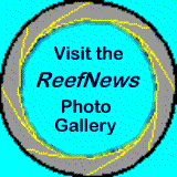 Visit the ReefNews Photo Gallery