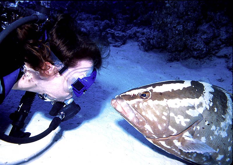 Nassau Grouper greets Tessa Dowell