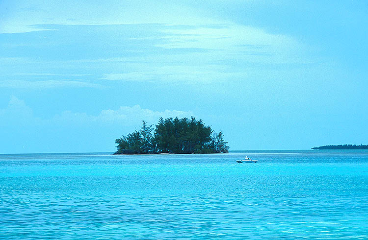 Bimini, Ernest Hemingway, and Deep-Sea Fishing