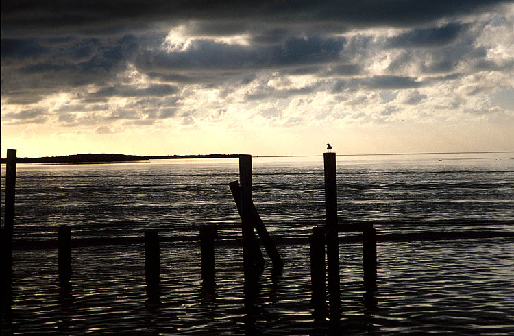 Bimini Dock on a Rainy Afternoon