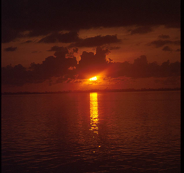 Bimini Tropical Sunrise