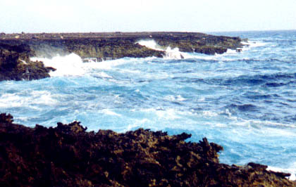 Seashore on Bonaire's East Coast