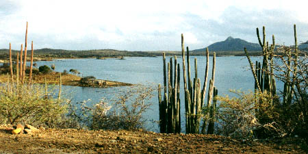 Goto Meer, Bonaire