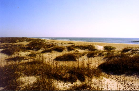 Dunes at Cape Lookout