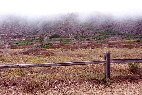 Point Loma Ridge under a rising bank of fog.