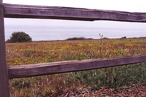 Coastal Sage Grassland runs down to the coast.