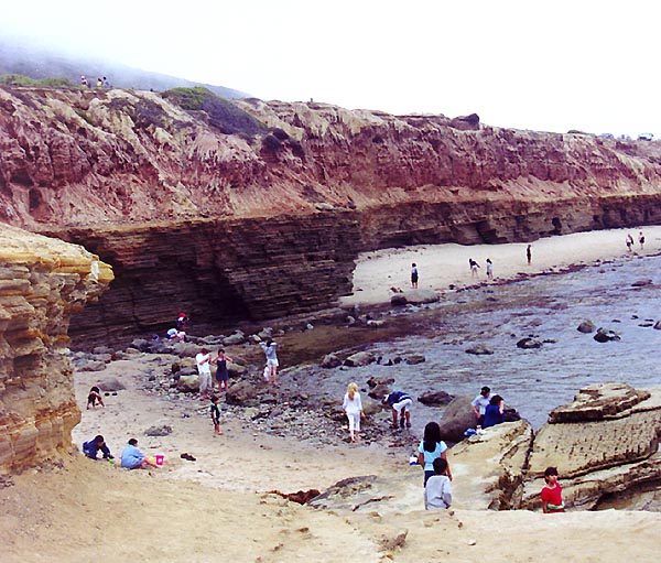 Tide Pools on the Beach lie under a grassy ridge.