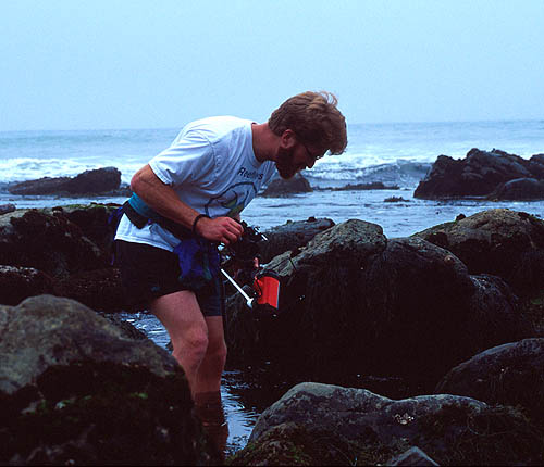 Jonathan Dowell in Point Loma Tide Pools