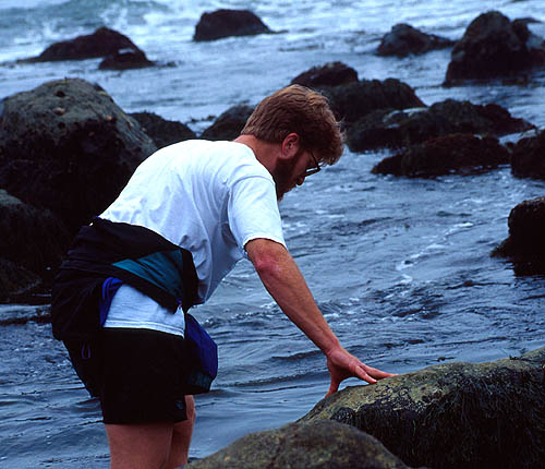 Jonathan Dowell in Point Loma Tide Pools