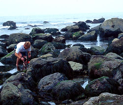 Jonathan Dowell in Point Loma Tide Pools