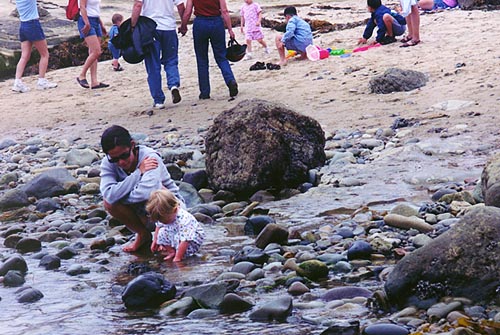 Tide Pools are exciting for explorers of all ages