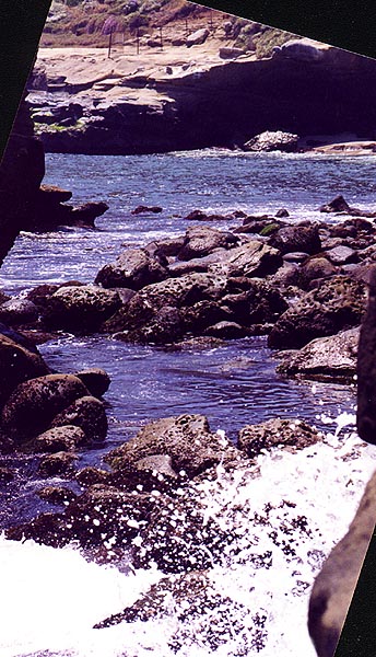 Point Loma Tide Pools