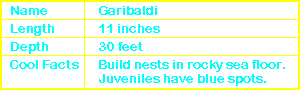 Garibaldi Info