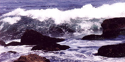 Waves and Tides Define Point Loma